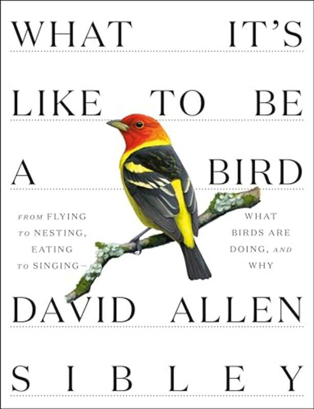 

What Its Like to be a Bird by David Allen Sibley-Hardcover