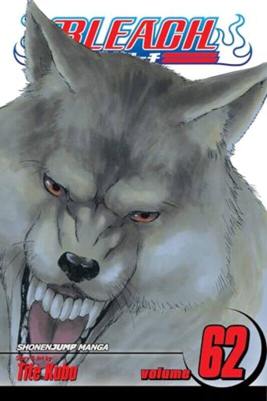 

Bleach Vol 62 by Tite Kubo-Paperback