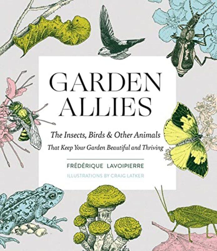 

Garden Allies by Jim MastersonRobin Robinett-Paperback