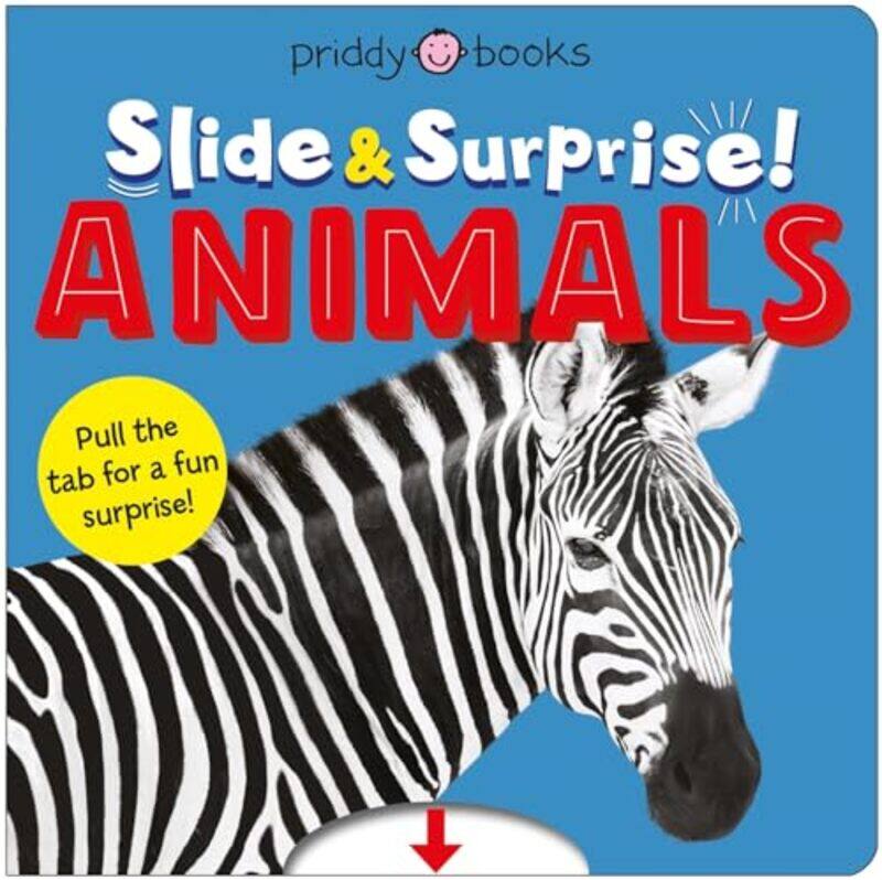 

Slide And Surprise,Paperback By Roger Priddy