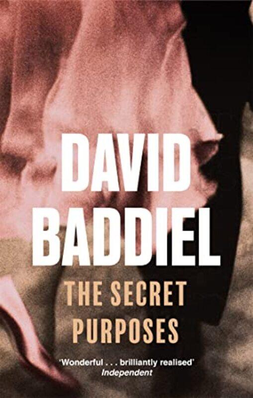 

The Secret Purposes by David Baddiel-Paperback
