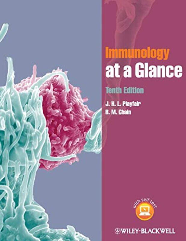 

Immunology At A Glance by J H L (University College, London) PlayfairB M (University College London) Chain-Paperback