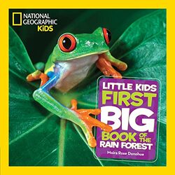 Little Kids First Big Book of The Rainforest by N Katherine Hayles-Hardcover