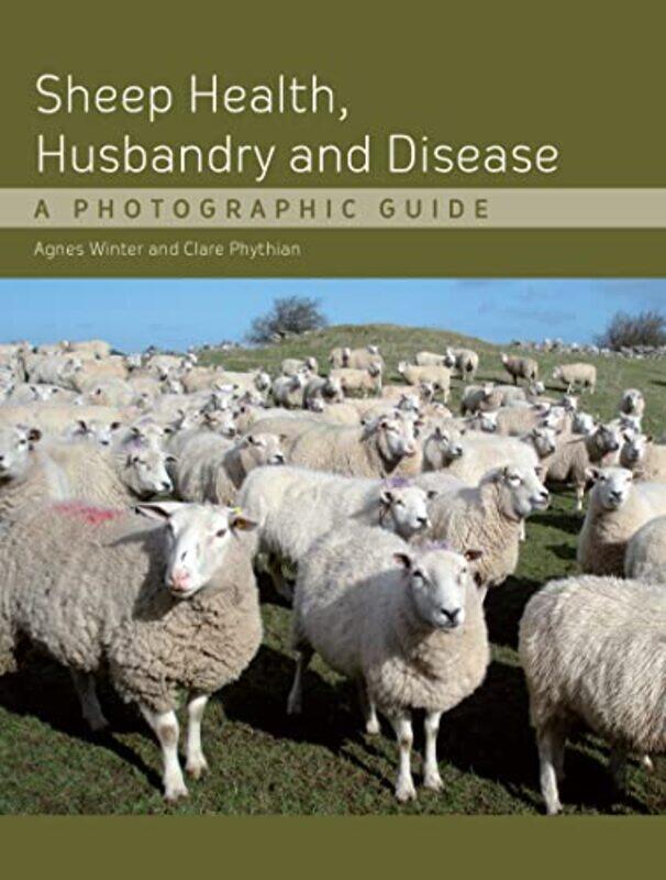 

Sheep Health Husbandry and Disease by Walter Foster-Hardcover