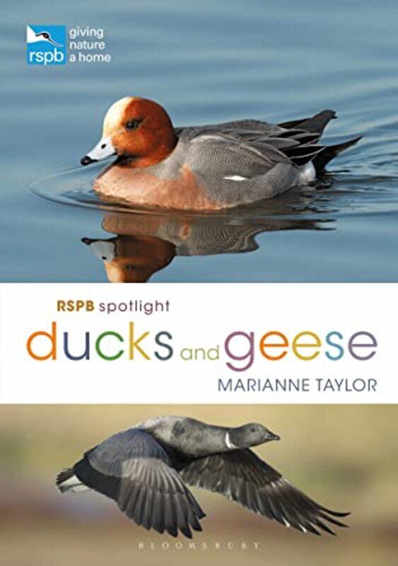 

Rspb Spotlight Ducks And Geese by Ms Marianne Taylor-Paperback