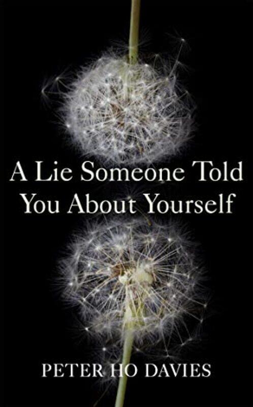 

A Lie Someone Told You About Yourself by Peter Ho Davies-Hardcover