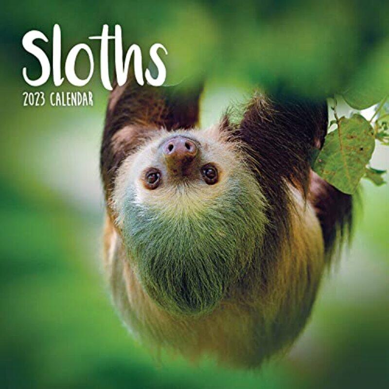 

Sloths Mini by Carous - Paperback