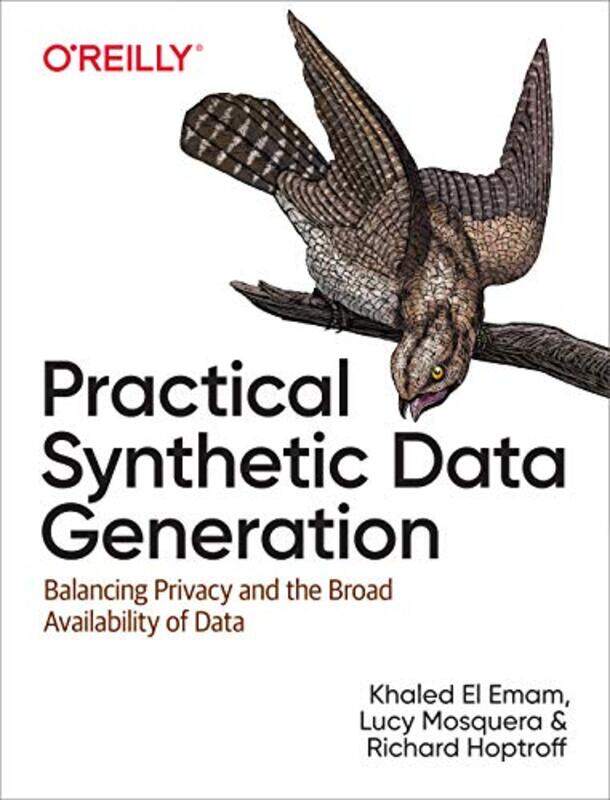 

Practical Synthetic Data Generation by Eveline Helmink-Paperback