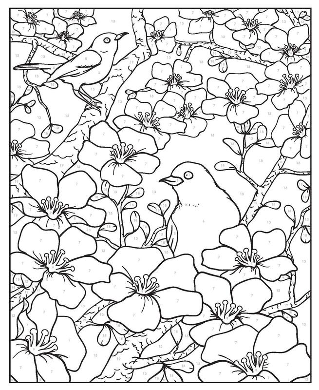 الإبداعية تصميم الأزهار الملونة حسب عدد كتاب التلوين ، كتاب غلاف عادي ، بقلم: جيسيكا مازوركيفيتش