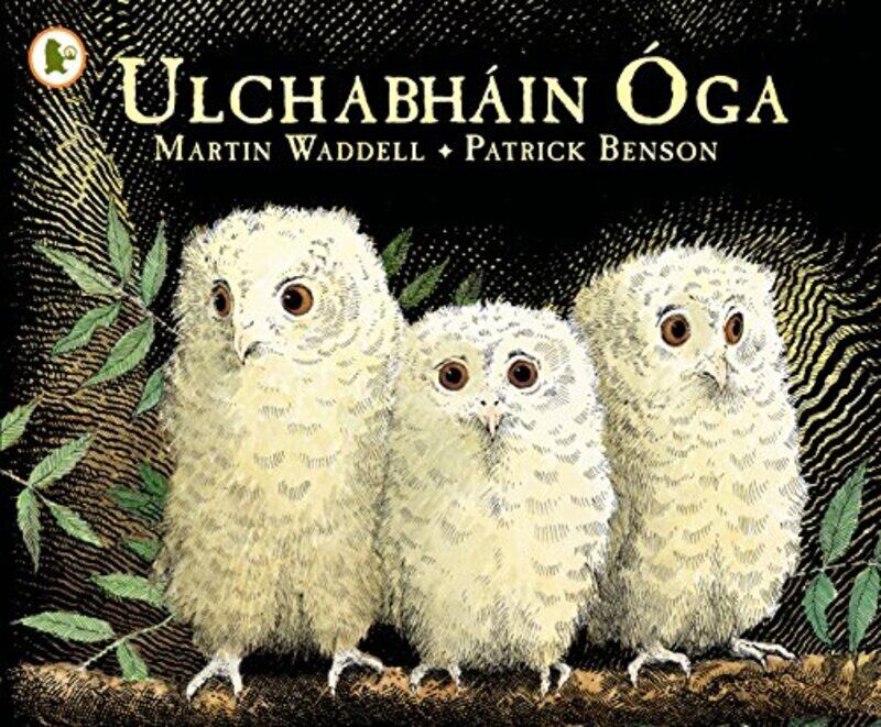 

Ulchabhain Oga Owl Babies by Martin WaddellPatrick Benson-Paperback