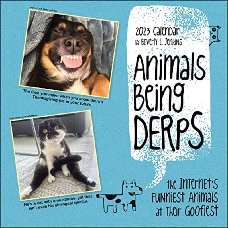 

Animals Being Derps 2023 Wall Calendar The Internets Funniest Animals At Their Goofiest by Jenkins, Beverly L. - Paperback