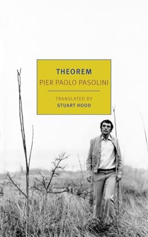 

Theorem By Pasolini Pier Paolo - Paperback