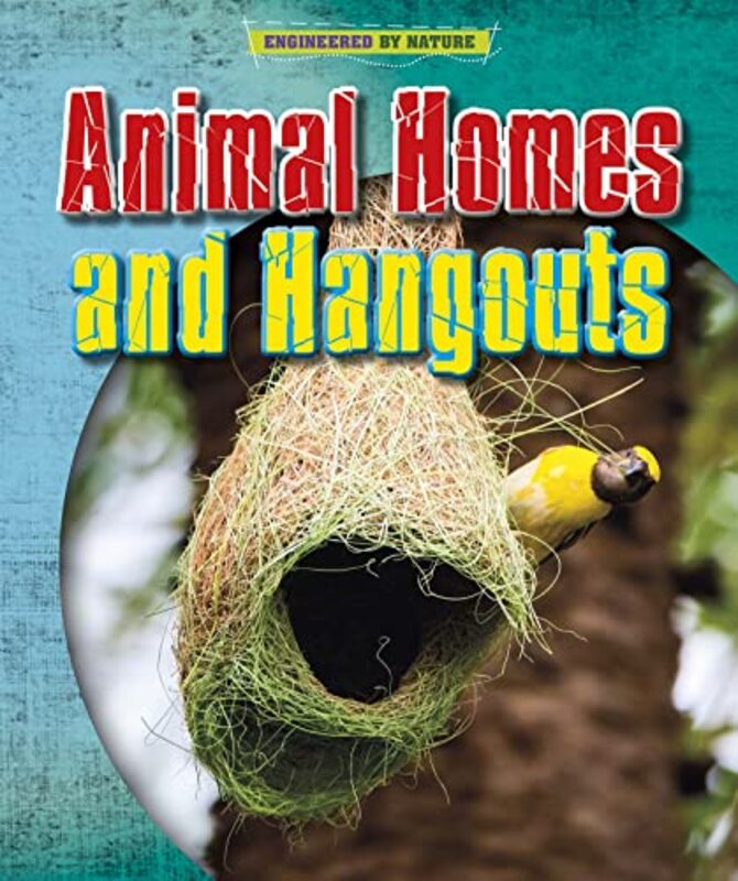 

Animal Homes and Hangouts by Daniel T School of Public Policy and Urban Affairs Northeastern University Boston USA O'Brien-Paperback