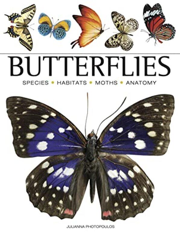 

Butterflies by Vallam Indian Inst Of Technoloy Madras India Sundar-Paperback