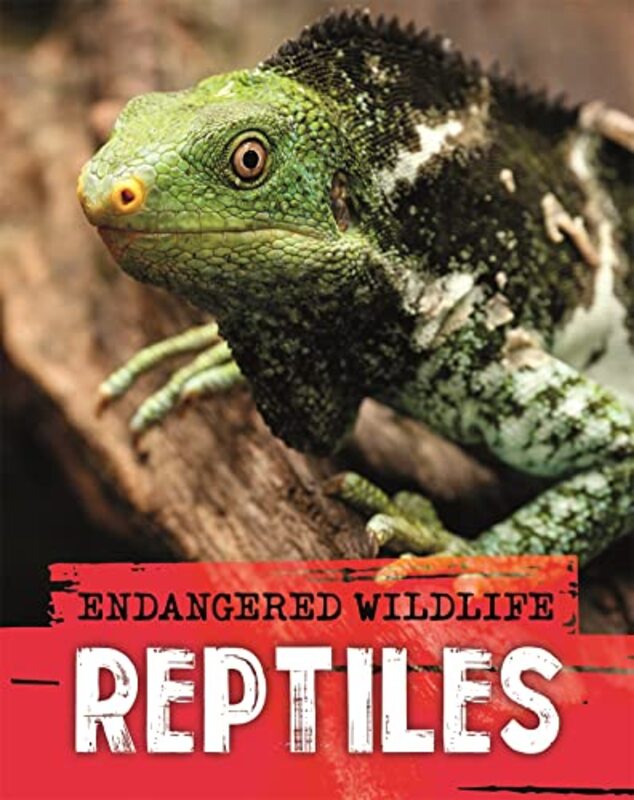 Endangered Wildlife Rescuing Reptiles by Anita Ganeri-Paperback