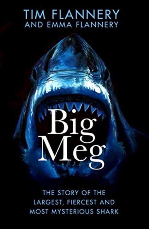 

Big Meg by Kenneth Kenneth Cohen CohenJohn W John W Troutman Troutman-Hardcover