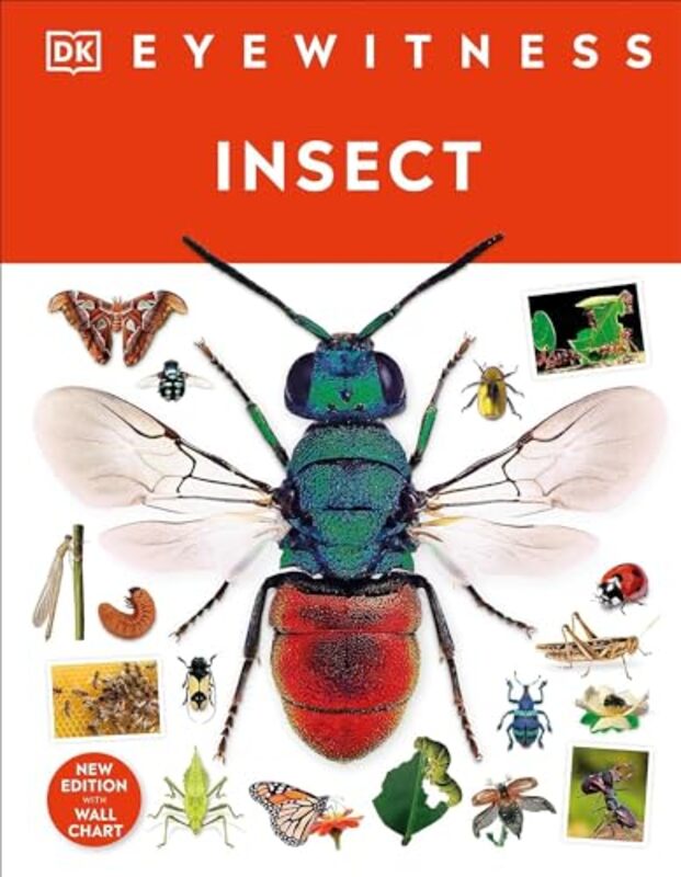 Insect by Julie Author Collins-Hardcover