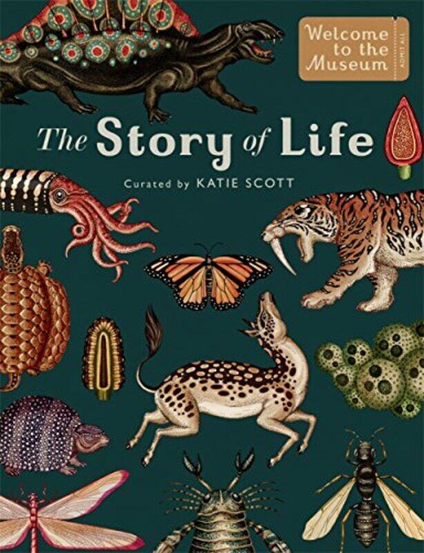 

The Story Of Life Evolution Extended Edition by Ruth SymonsKatie Scott-Hardcover