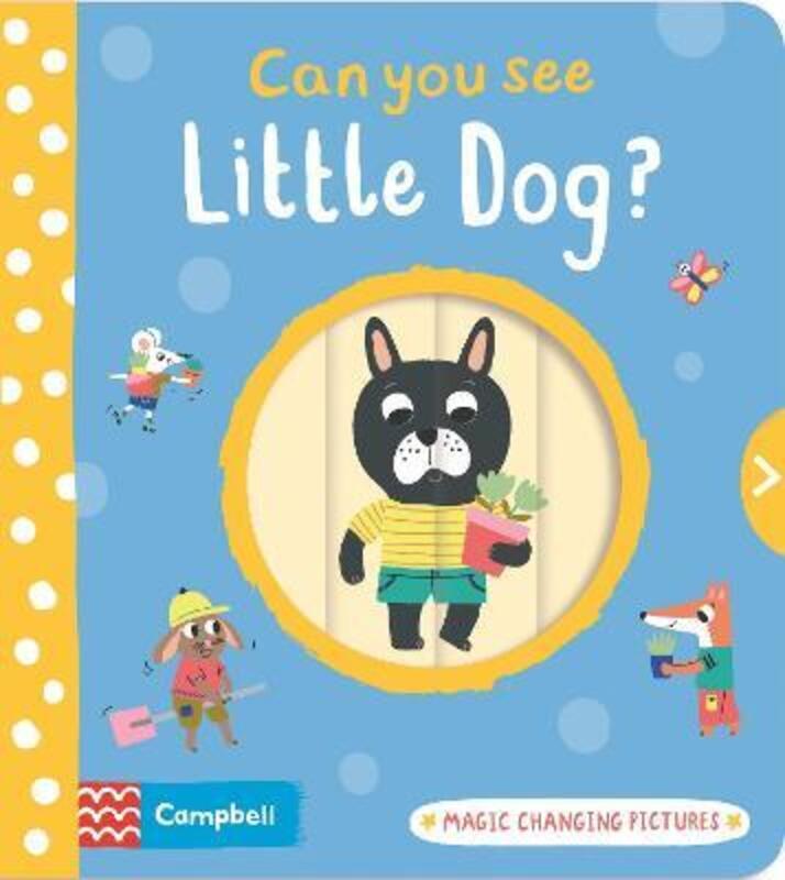 Can You See Little Dog?,Hardcover,ByEmilie Lapeyre