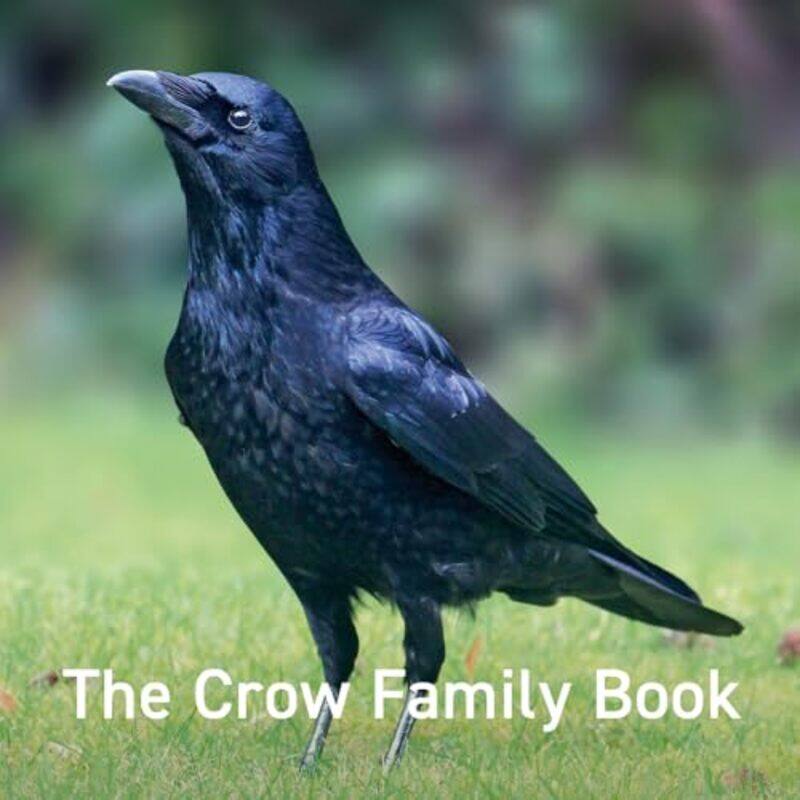 

Crow Family Book The by Jane Russ-Hardcover