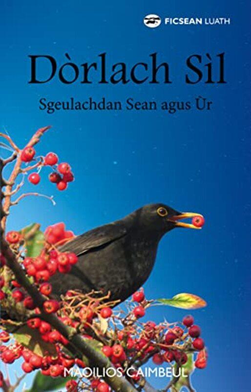 

Dorlach Sil by Myles Campbell-Paperback