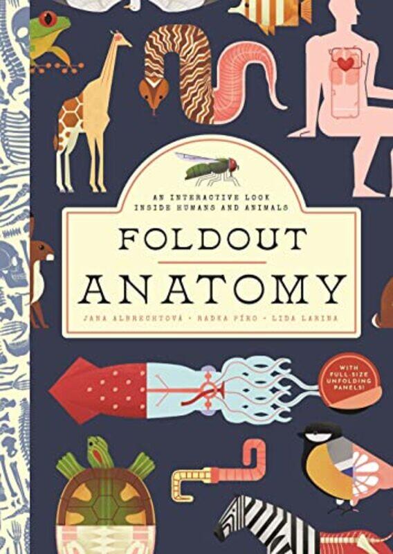 

Foldout Anatomy by JANA ALBRECHTO-Hardcover