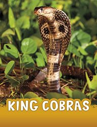 King Cobras by Jaclyn Jaycox -Paperback