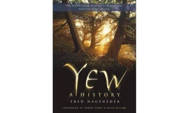 

Yew-Paperback