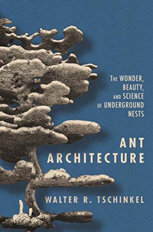 

Ant Architecture by Walter R Tschinkel-Hardcover