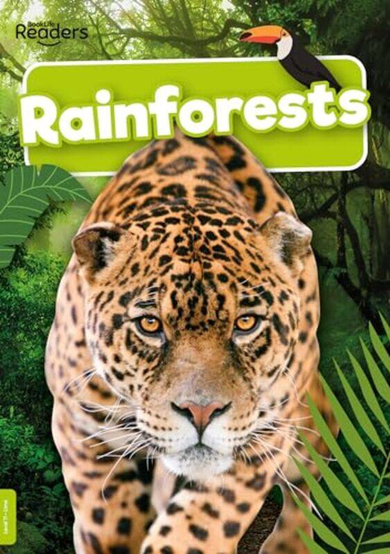 

Rainforests by Daniella Chace-Paperback