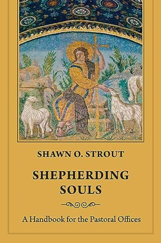 

Shepherding Souls by Shawn O. Strout -Paperback