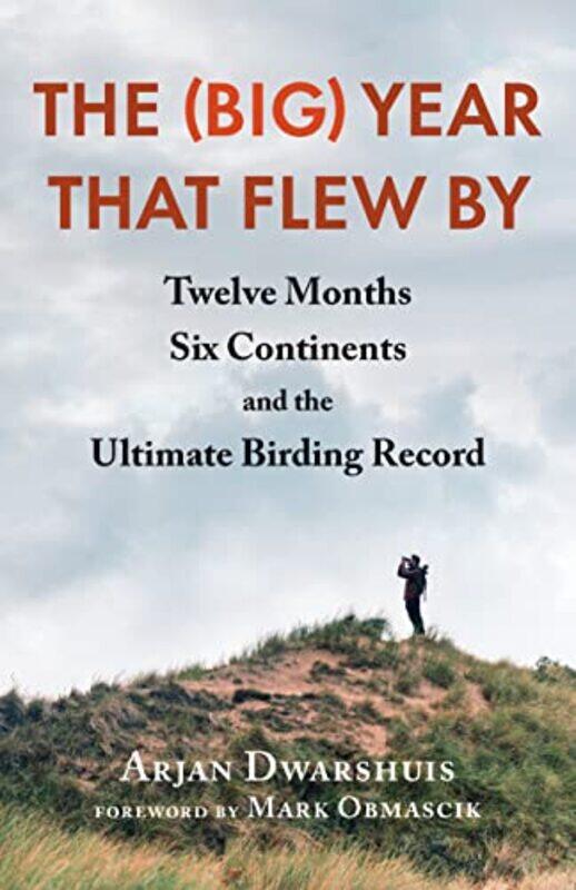 

The Big Year That Flew By by Arjan Dwarshuis-Paperback