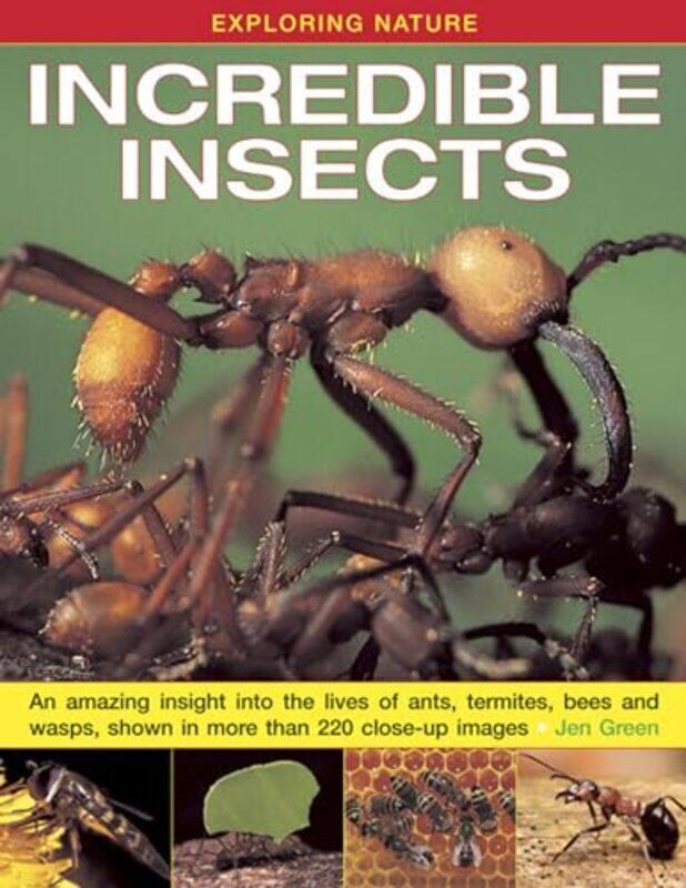 

Exploring Nature Incredible Insects by Daniel BedfordJonathan Herring-Hardcover