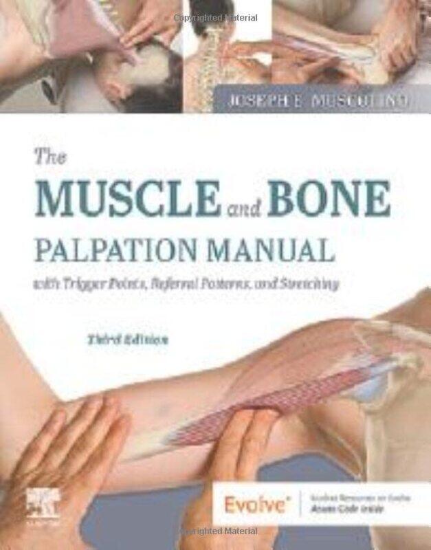 

The Muscle and Bone Palpation Manual with Trigger Points Referral Patterns and Stretching by Emma Stokes-Paperback