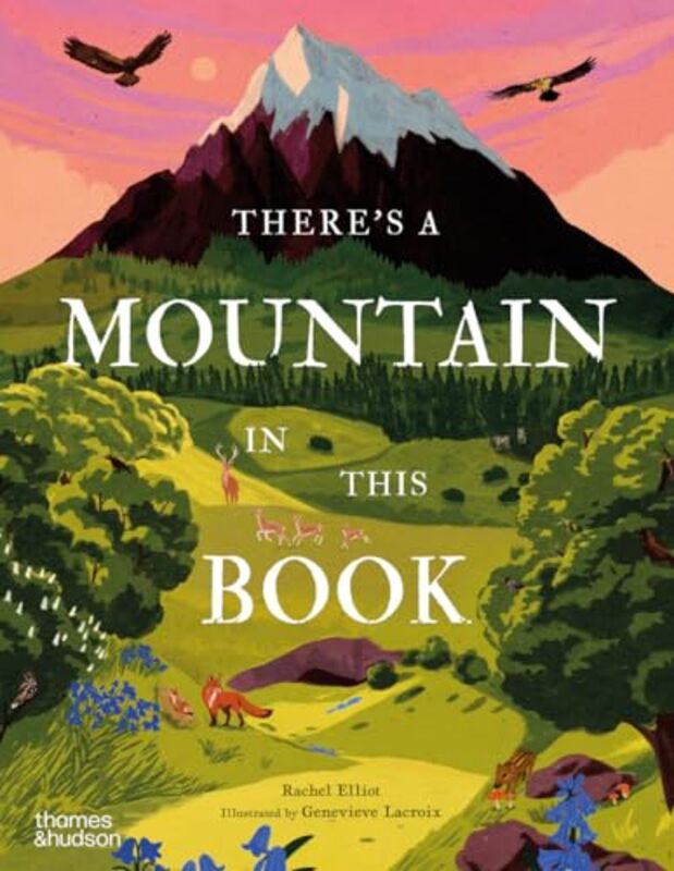 

Theres A Mountain In This Bk By Elliot Rachel - Hardcover