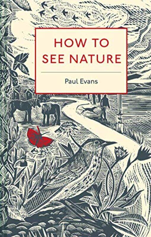 

How to See Nature by Lynn FultonFelicita Sala-Hardcover