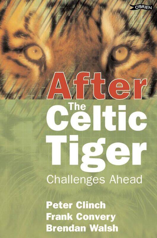 

After The Celtic Tiger by Peter ClinchFrank ConveryBrendan Walsh-Paperback