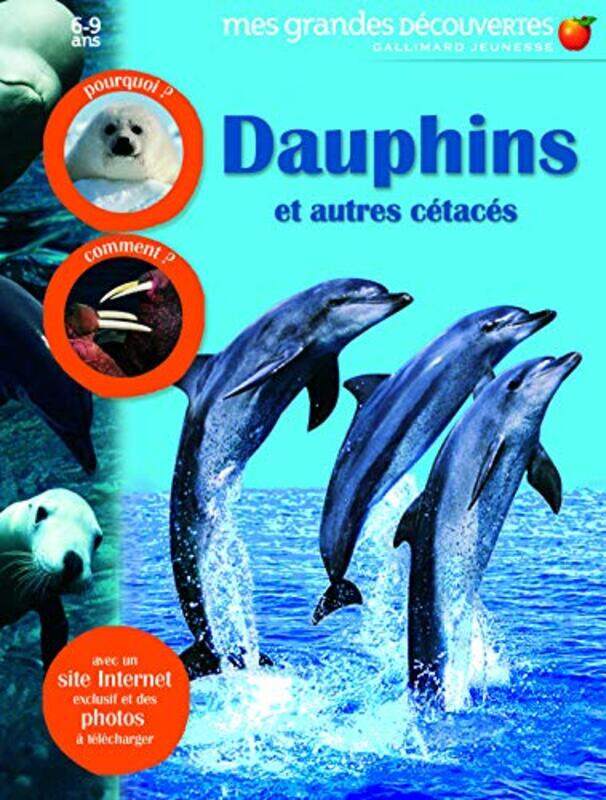 

Dauphins et autres c tac s , Paperback by Gallimard Jeunesse