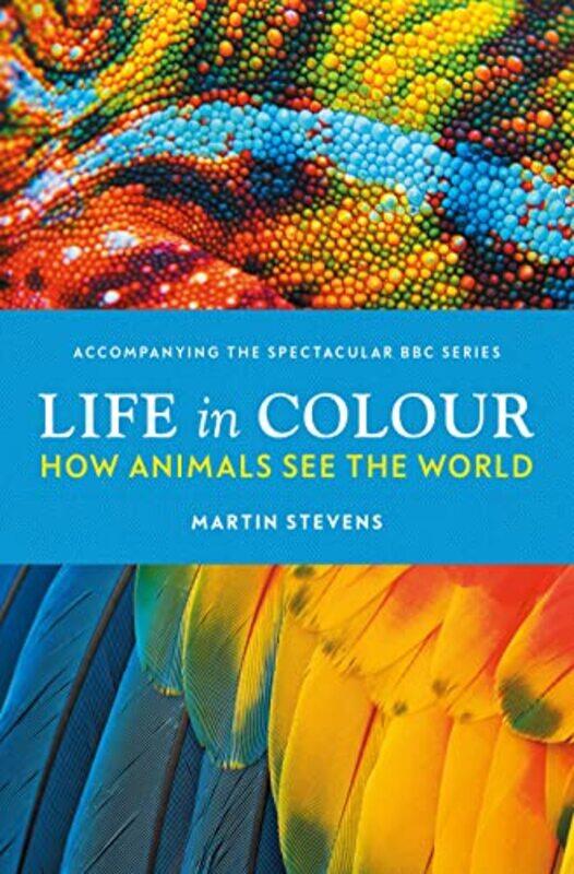 

Life in Colour by Laura M Greenstein-Hardcover