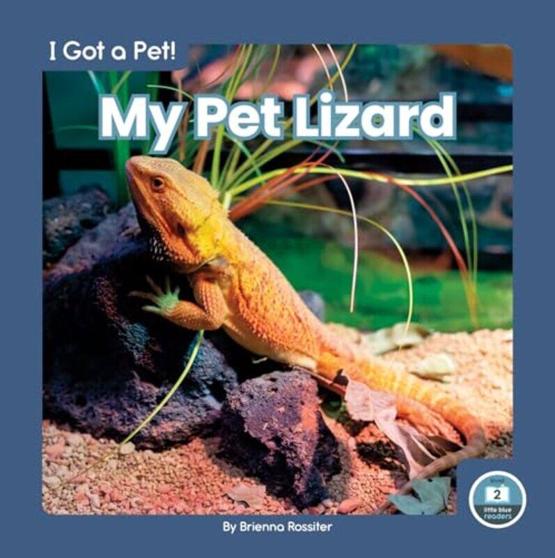 

I Got a Pet! My Pet Lizard by Janine Elizabeth Davies-Hardcover