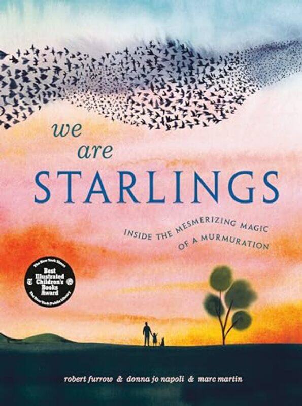 

We Are Starlings By Furrow Robert - Hardcover