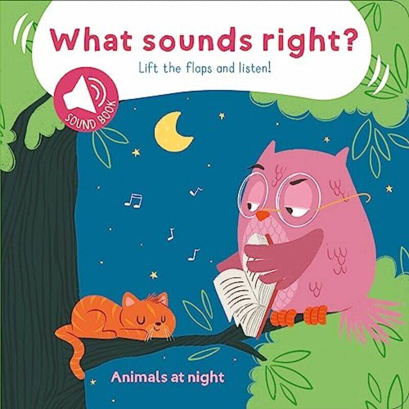 

Animals At Night What Sounds Right Paperback