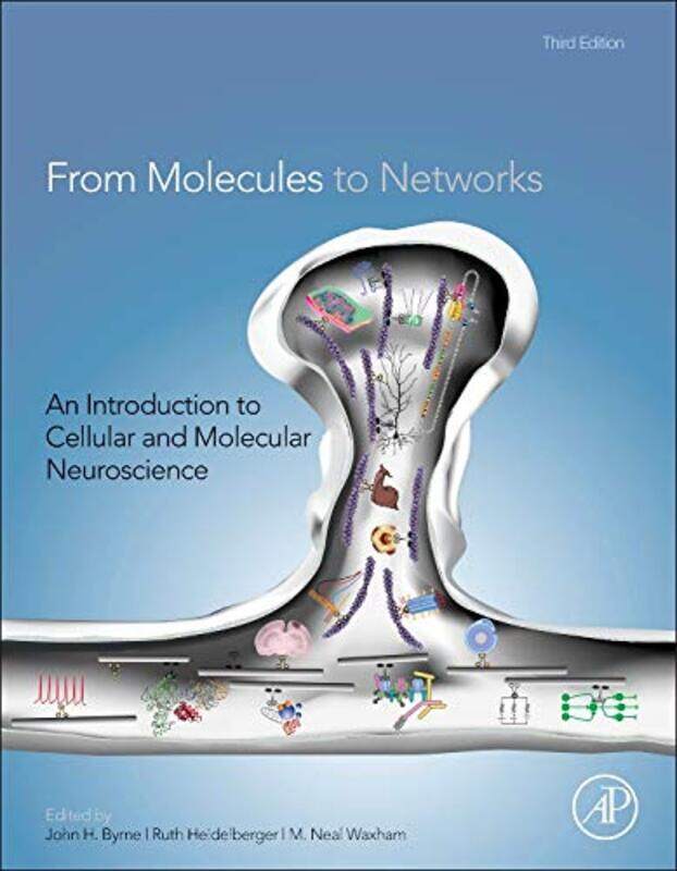 

From Molecules to Networks by Michael SpencerRachel Hawkes-Hardcover