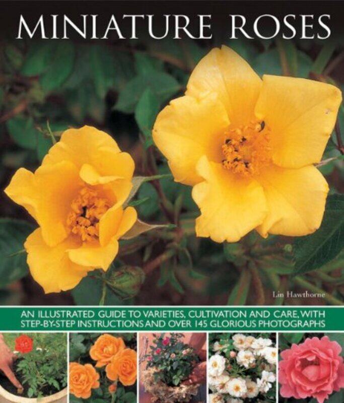 

Miniature Roses by Louisa May Alcott-Paperback