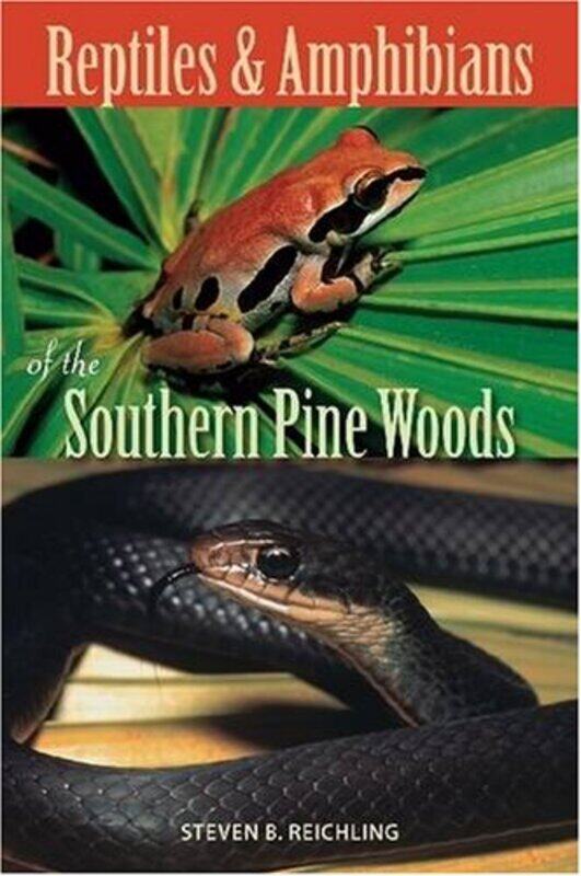 

Reptiles and Amphibians of the Southern Pine Woods by Camille Harris-Paperback