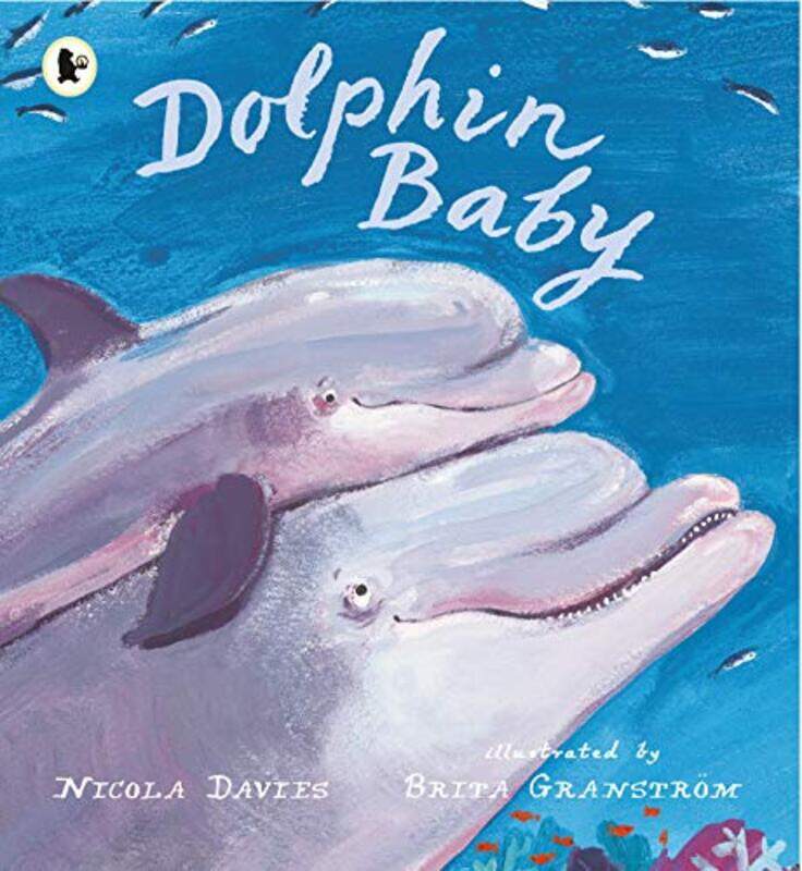 

Dolphin Baby by Davies, Nicola - Granstrom, Brita-Paperback