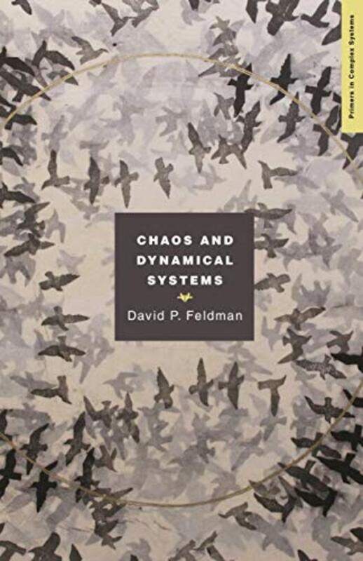 

Chaos and Dynamical Systems by David P Feldman-Paperback