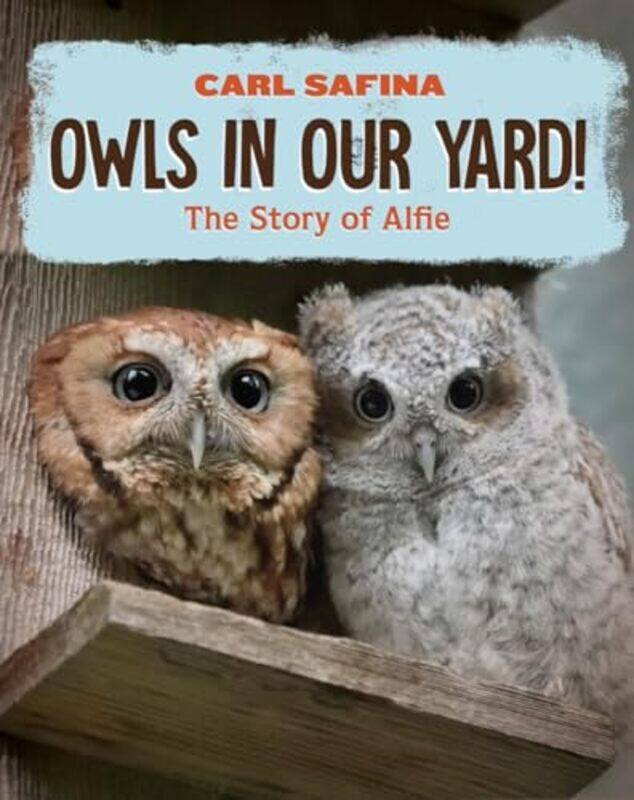 

Owls in Our Yard by Carl Safina-Hardcover