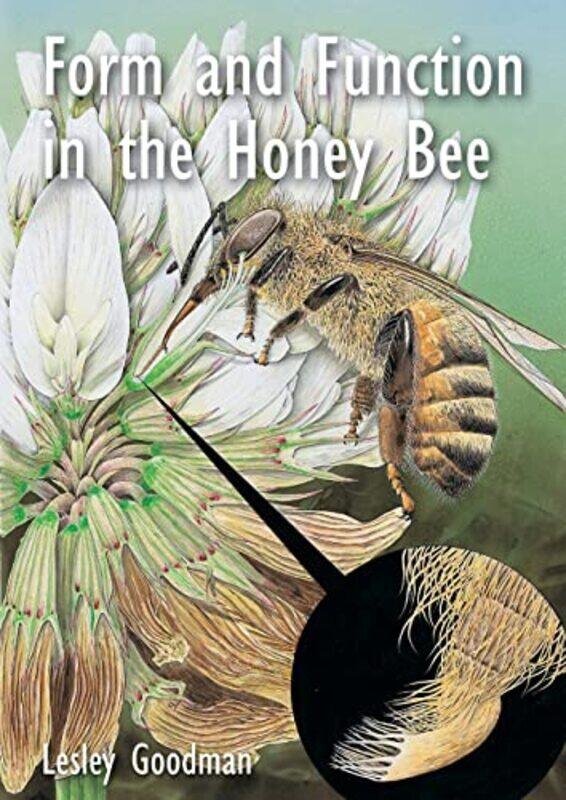 

Form and Function in the Honey Bee by Lesley Goodman-Paperback