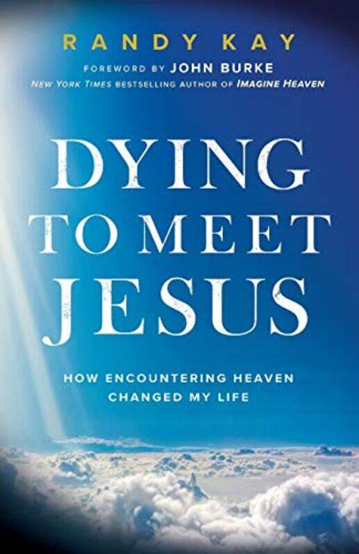 

Dying to Meet Jesus by Rob NelsonHaley Chamberlain Nelson-Paperback